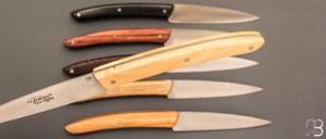 Coffret de 6 couteaux de table LE THIERS par BJB - Multi-bois