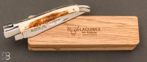  Couteau Laguiole en Aubrac 12 cm manche en ivoire de mammouth