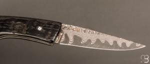   Couteau " Pièce unique " par Alain & Joris Chomilier - Damas carbone de Baker Forge et Corne de Gnou