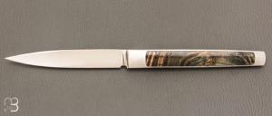   Couteau " Slipjoint " custom de Lionel Lalague - Mammouth et lame en RWL34