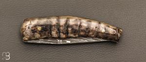   Couteau " custom " de Alain & Joris Chomilier - Corne de bélier et lame damas "Virus" de Vegas Forge