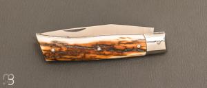   Couteau " Alpin " par Erwan Pincemin - Ivoire de mammouth et lame en N690