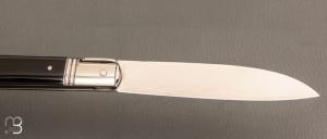    Couteau " Yssingeaux " par Romain Alvarez - RWL34 et corne de buffle