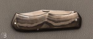   Couteau " PIB " de Benjamin MIttay - Fibres de carbone