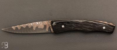   Couteau " Pièce unique " par Alain & Joris Chomilier - Damas carbone de Baker Forge et Corne de Gnou