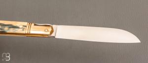    Couteau " Issoire 2 pièces "  de Robert Beillonnet - Ivoire de mammouth et RWL-34