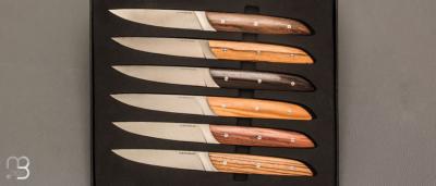 Coffret de 6 couteaux de table par LEPAGE - Bois assortis et 12C27