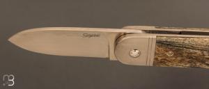  Couteau " Bouledogue " liner-lock de Stéphane Sagric - Os teinté et lame en RWL34