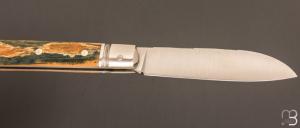  Couteau " Issoire "  de Robert Beillonnet - ivoire de mammouth et RWL-34