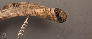  Tire-bouchon en corne de bélier de José Viale