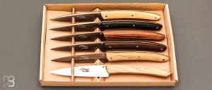 Coffret de 6 couteaux de table LE THIERS par BJB - Multi-bois