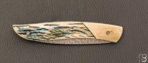  Couteau " le Névé " par Tim Bernard - Ivoire de mammouth et lame damas plume