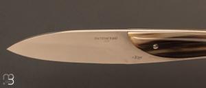 Couteau droit " PATRIM’EAU " par la Coutellerie Mongin