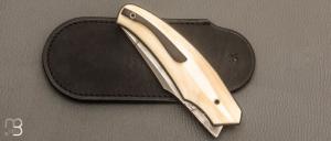 Couteau " liner lock " custom de David Lespect - Phacochère et C105