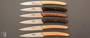 Coffret de 6 couteaux de table LE THIERS par BJB - Multi-bois