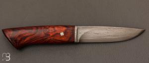    Couteau Droit de Jean Paul Sire - Cocobolo et lame damas