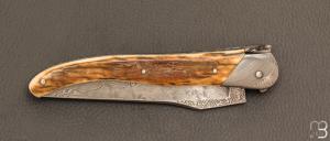   Couteau " Laguiole Authentique 13 cm" par Rozelier Fabien - Ty Coutelier - Ivoire de mammouth et lame damas