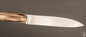   Couteau " Laguiole droit 13cm " custom de Jérôme Latreille - Pointe de corne