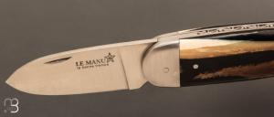 Couteau " Le Manu " par La Bonne Trempe - Mammouth résine et 14c28