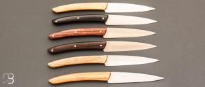Coffret de 6 couteaux de table LE THIERS par BJB - Multi-bois