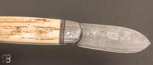   Couteau " Bouledogue " par Romain Alvarez - Ivoire de mammouth et lame damas