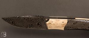    Couteau custom par Berthelemy Gabriel - La Forge Agab - Damas et Mammouth