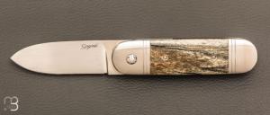  Couteau " Bouledogue " liner-lock de Stéphane Sagric - Os teinté et lame en RWL34