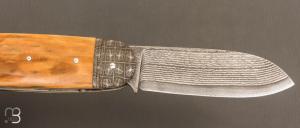  Couteau " Bulldog " mammouth et damas par Thomas Chovin