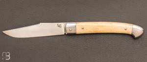   Couteau " Pièce unique " par Laurent Gaillard - Bois de cerf et 14C28N