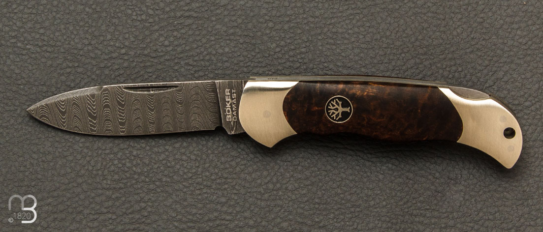 Couteau Böker Sollingen - Junior Scout Spearpoint Curly Birch Green Damascus - 111920DAM