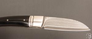   Couteau " Bec "  custom par Raphaël Durand - Suminagashi SGPS et G10