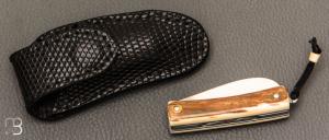    Couteau " Mini Promenade " par Erwan Pincemin - Ivoire de mammouth et lame damas VG10