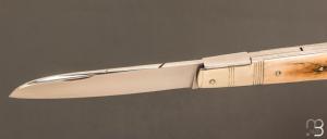   Couteau " Rumilly 3 pièces " par Erwann Aubriet - Ivoire de mammouth