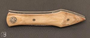 Couteau  "  L'Oegopsyde " fait main par Laraud Blade  - Ivoire de mammouth et 14C28