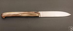   Couteau " Laguiole droit 13cm " custom de Jérôme Latreille - Pointe de corne