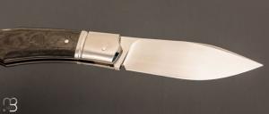  Couteau  " Lock-Back" custom par Rémi Lavialle - RWL34 et fibre de carbone
