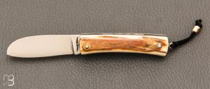    Couteau " Mini Promenade " par Erwan Pincemin - Ivoire de mammouth et lame damas VG10