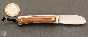    Couteau " Mini Promenade " par Erwan Pincemin - Ivoire de mammouth et lame damas VG10