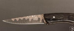   Couteau " Pièce unique " par Alain & Joris Chomilier - Damas carbone de Baker Forge et Corne de Gnou