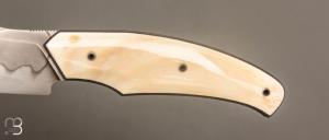 Couteau " liner lock " custom de David Lespect - Phacochère et C105