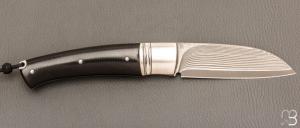   Couteau " Bec "  custom par Raphaël Durand - Suminagashi SGPS et G10