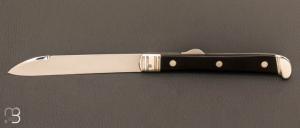 Couteau " Duc  " custom par Mathieu Herrero - Ebne et argent