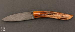   Couteau " le Nv " par Tim Bernard - Os Cerf et lame 14C28