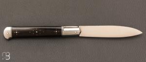 Couteau " Yssingeaux" par Romain Alvarez - RWL34 et palmier