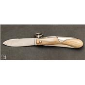 Couteau de poche Milan 12 cm Corne blonde par J. Mongin - 2 pieces