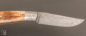    Couteau " Tocard " custom de Jérôme Bellon - Ivoire de mammouth et lame damas
