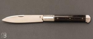 Couteau " Yssingeaux" par Romain Alvarez - RWL34 et palmier