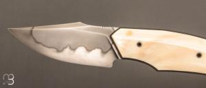 Couteau " liner lock " custom de David Lespect - Phacochère et C105