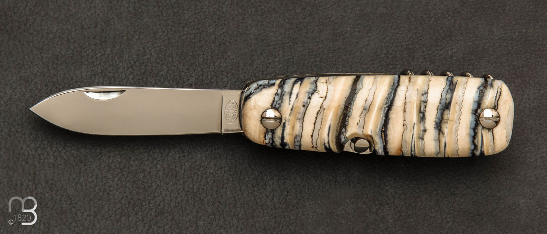 Couteau de poche Canif 8CM molaire de Mammouth par J. Mongin