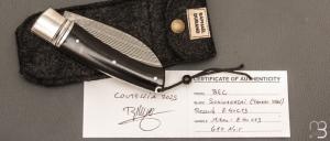   Couteau " Bec "  custom par Raphaël Durand - Suminagashi SGPS et G10